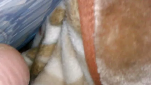 زیبا, از, سکس فول اچ تی نوجوان, brunettes داغ